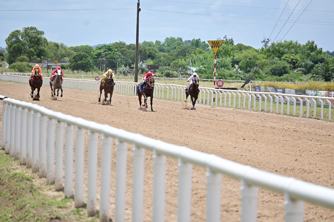 Hipódromo de Rocha